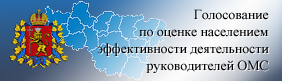 Интернет-голосование по оценке эффективности деятельности руководителей ОМСУ